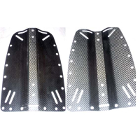 Backplate for wingjackets made of carbon with...