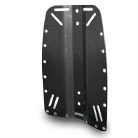 Backplate for wingjackets made of carbon with...
